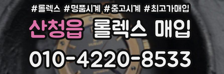 산청읍 롤렉스 매입