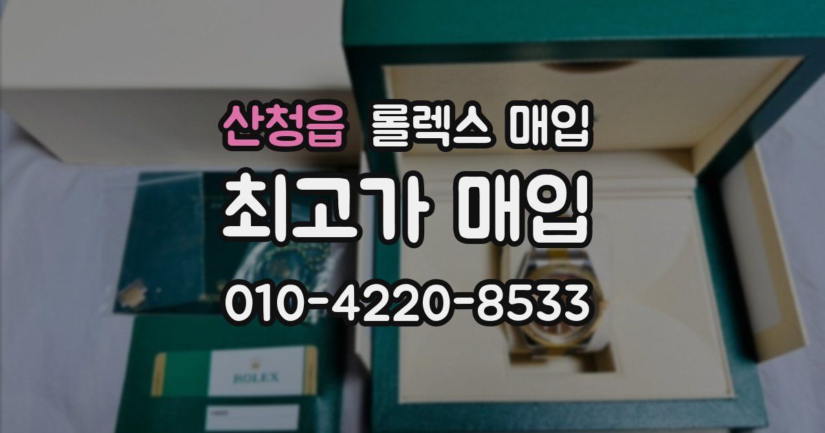 산청읍 롤렉스 매입
