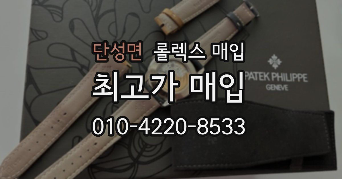 단성면 롤렉스 매입