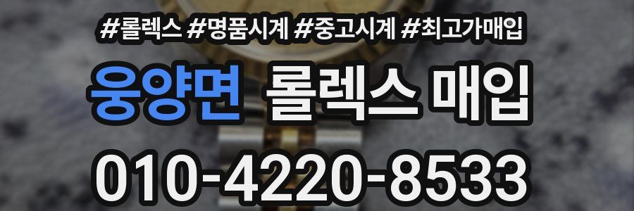 웅양면 롤렉스 매입