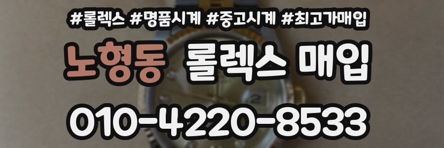 노형동 롤렉스 매입