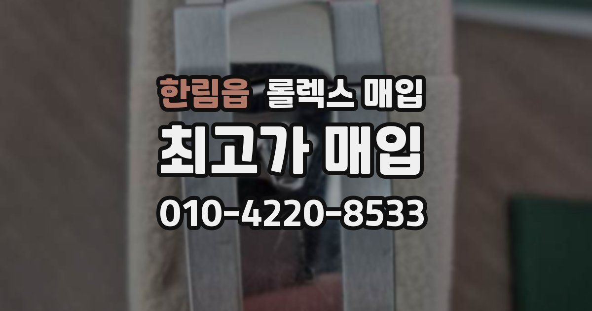 한림읍 롤렉스 매입