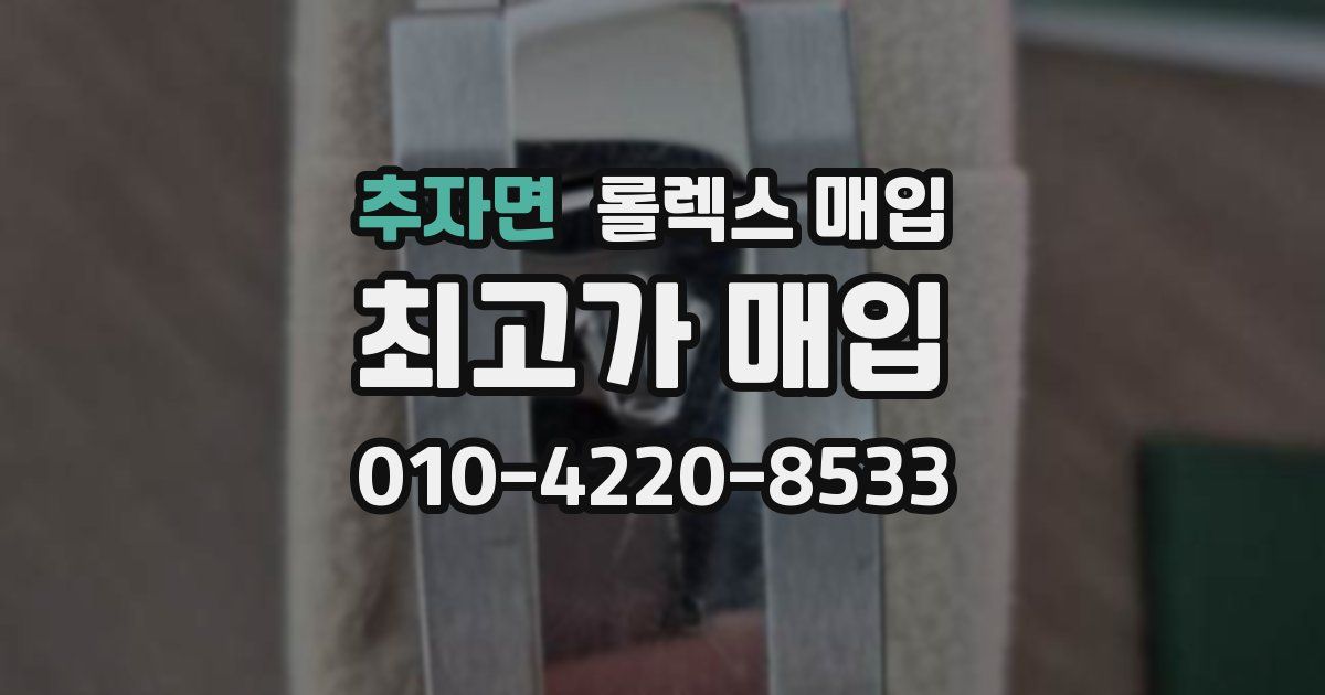 추자면 롤렉스 매입