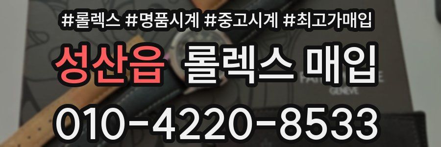 성산읍 롤렉스 매입