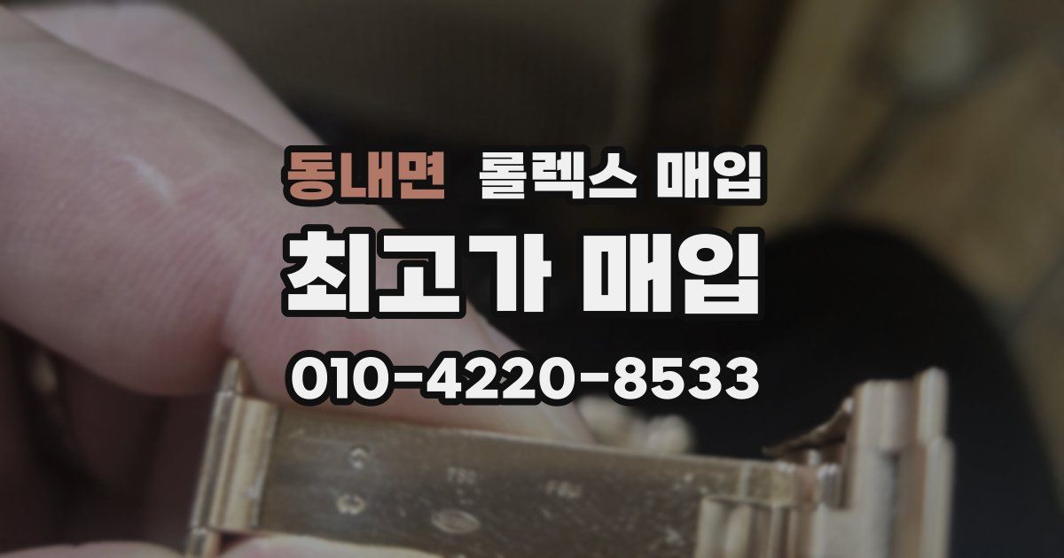 동내면 롤렉스 매입