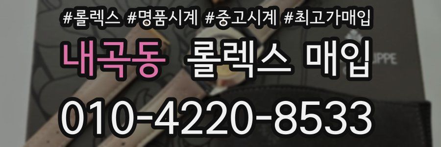 내곡동 롤렉스 매입