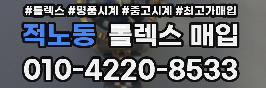 적노동 롤렉스 매입