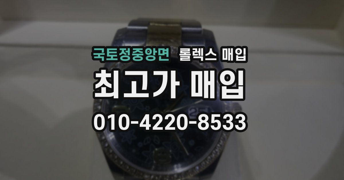 국토정중앙면 롤렉스 매입