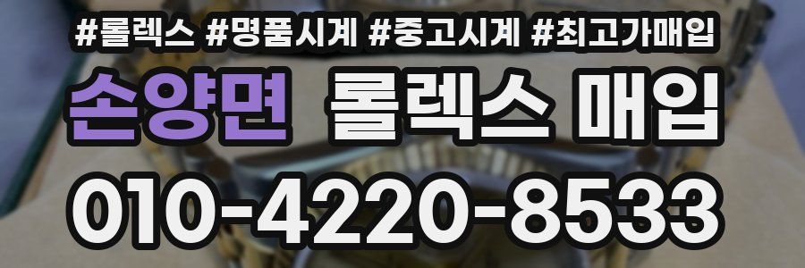 손양면 롤렉스 매입