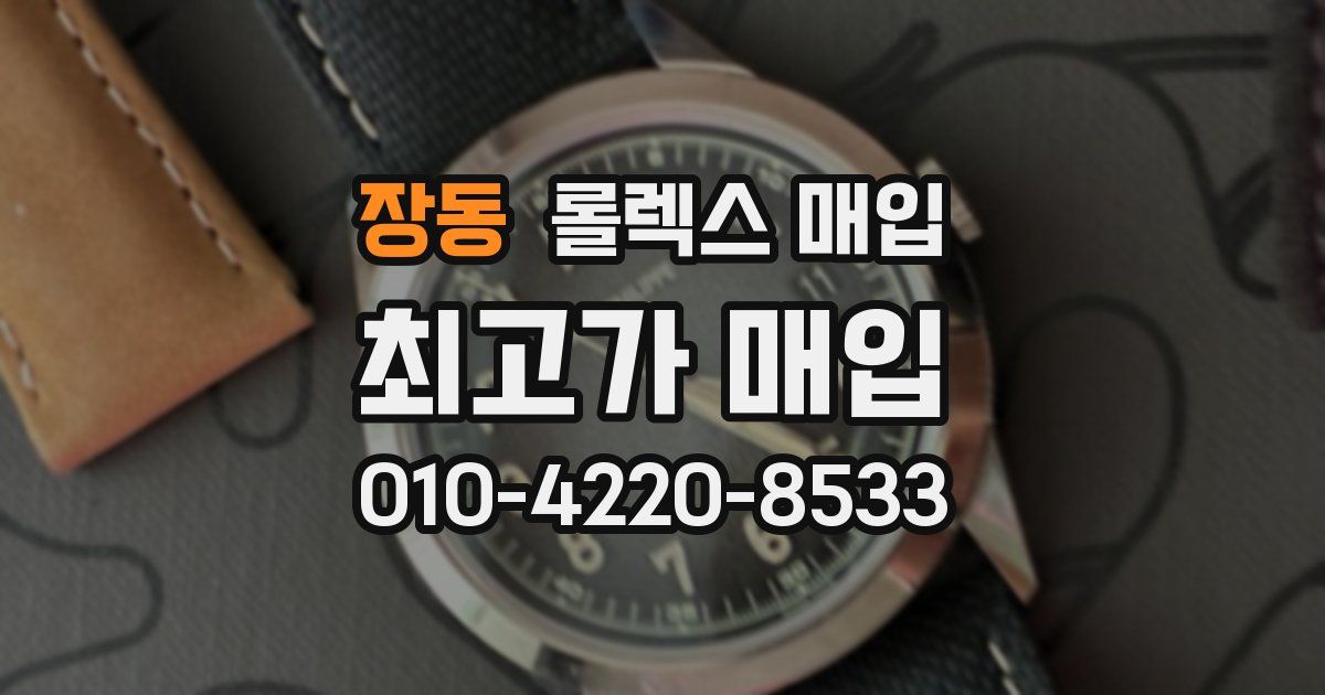 장동 롤렉스 매입