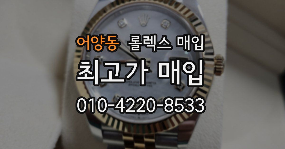 어양동 롤렉스 매입