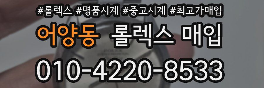 어양동 롤렉스 매입