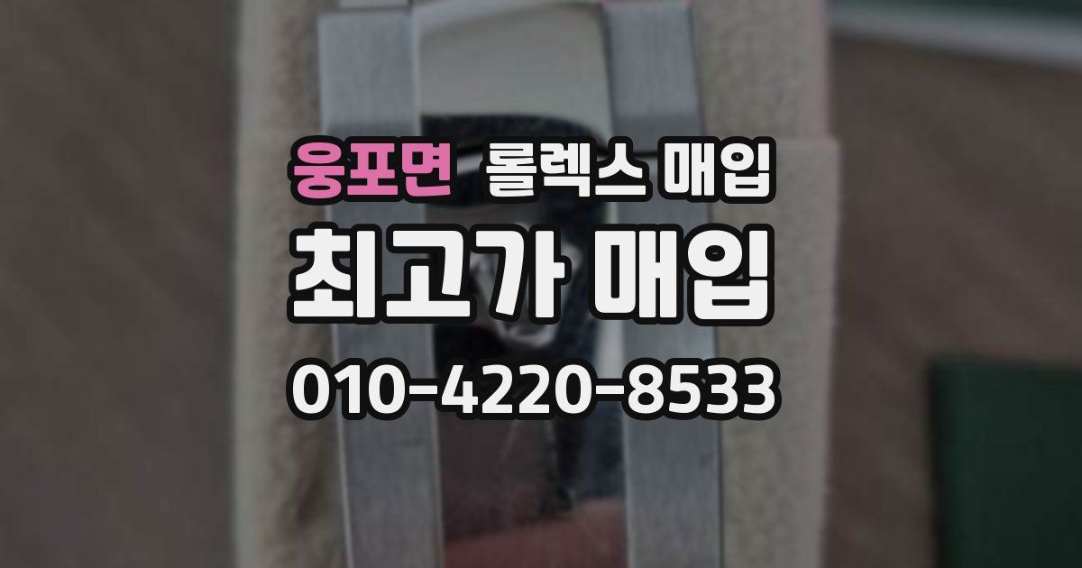 웅포면 롤렉스 매입