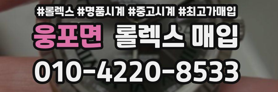 웅포면 롤렉스 매입