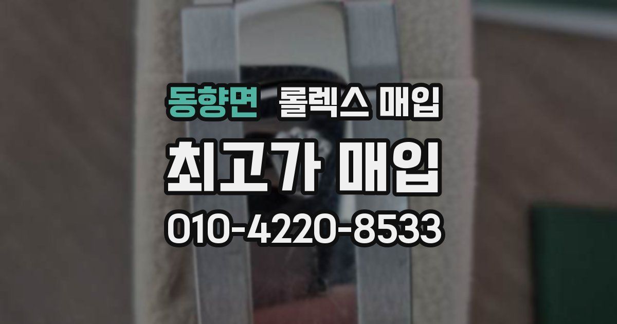 동향면 롤렉스 매입