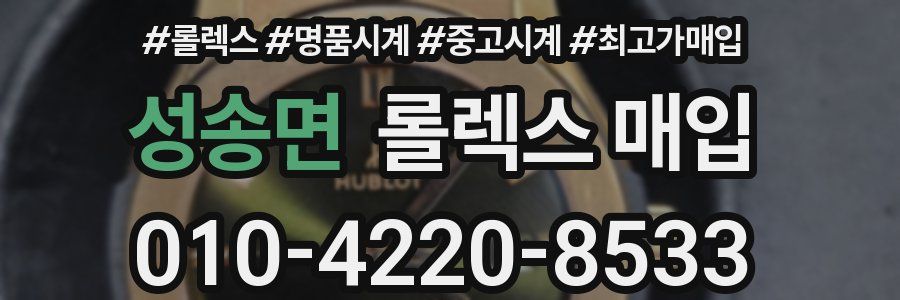 성송면 롤렉스 매입
