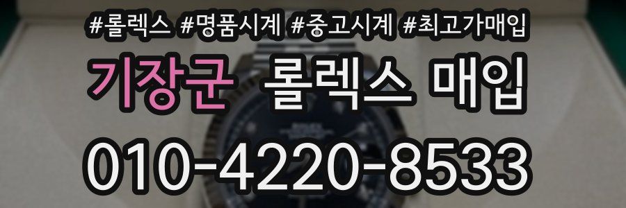기장군 롤렉스 매입