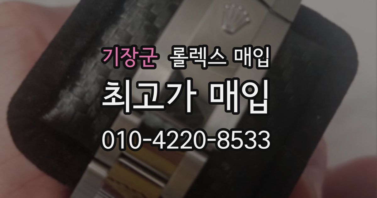 기장군 롤렉스 매입