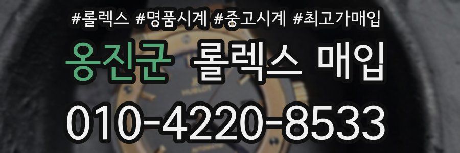 옹진군 롤렉스 매입