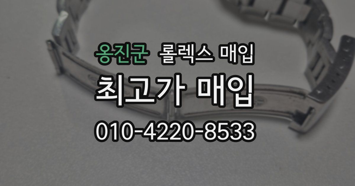 옹진군 롤렉스 매입
