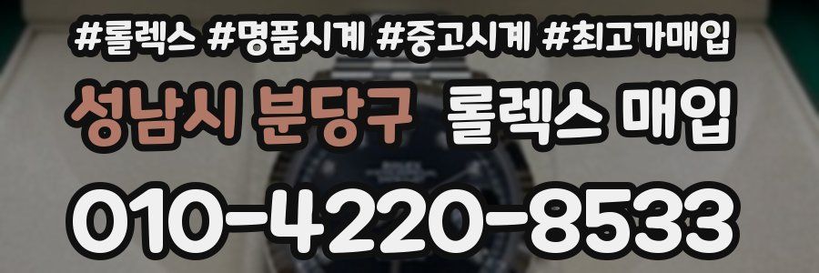 성남시 분당구 롤렉스 매입