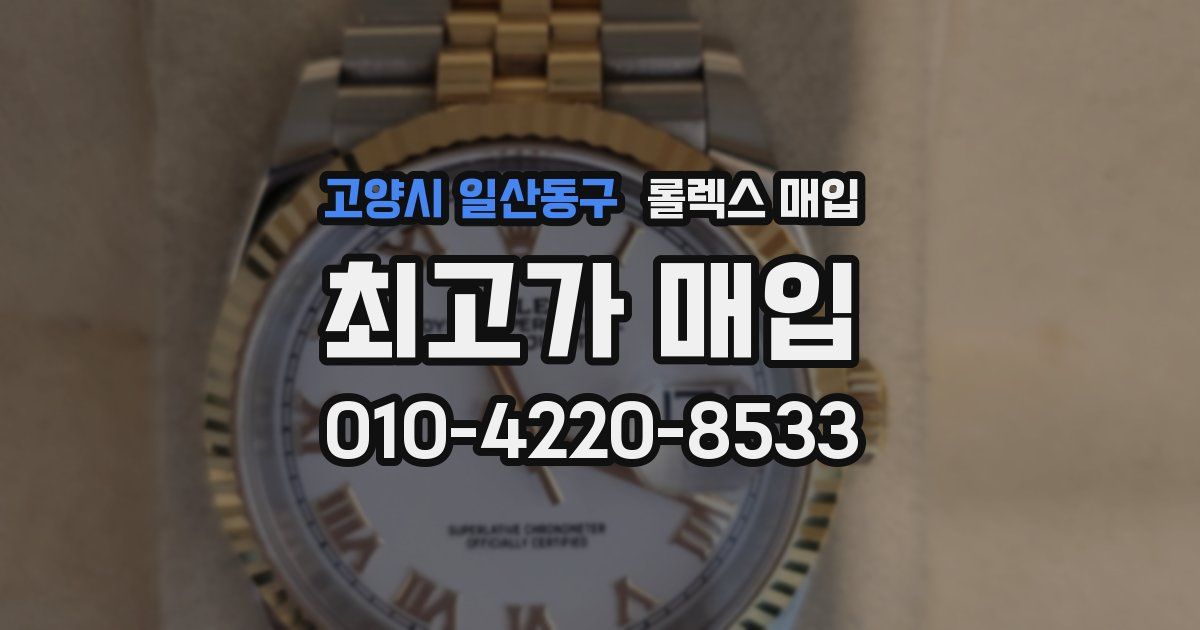 고양시 일산동구 롤렉스 매입