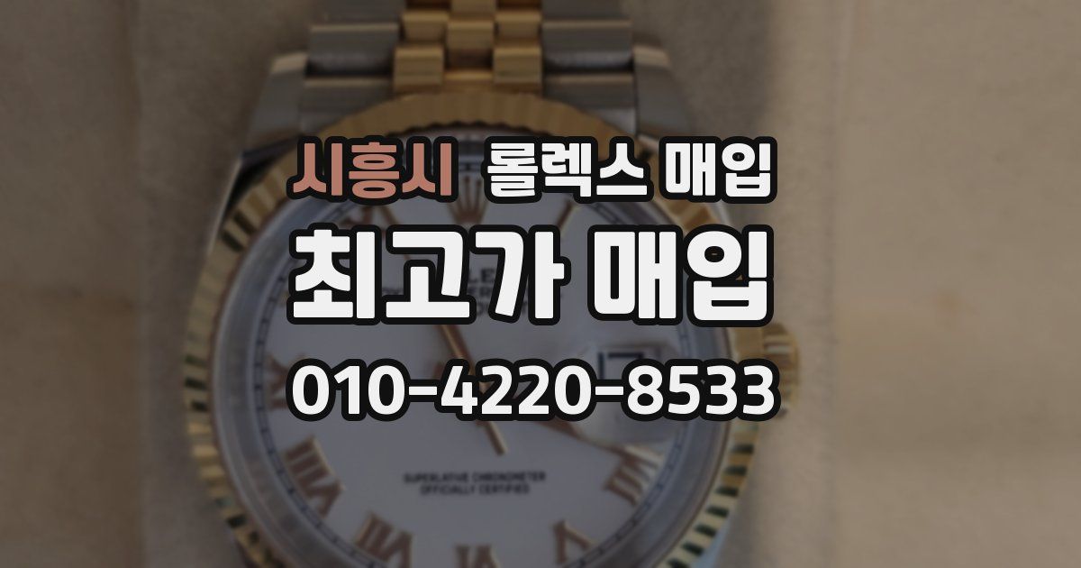 시흥시 롤렉스 매입