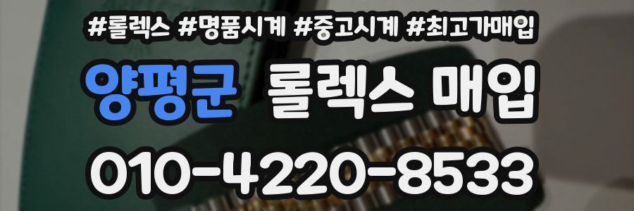 양평군 롤렉스 매입