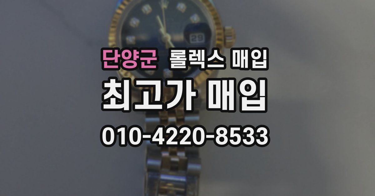 단양군 롤렉스 매입