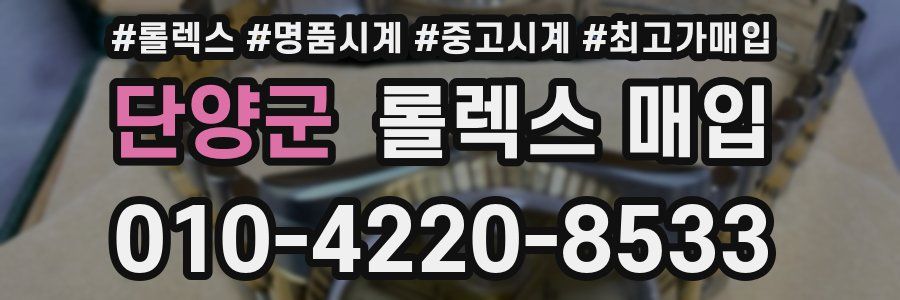 단양군 롤렉스 매입