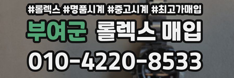 부여군 롤렉스 매입