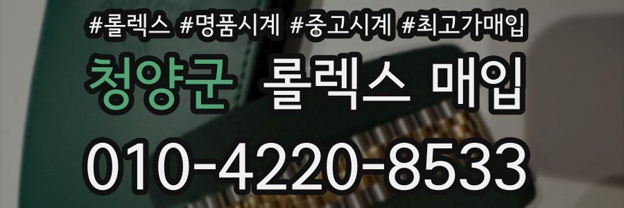 청양군 롤렉스 매입