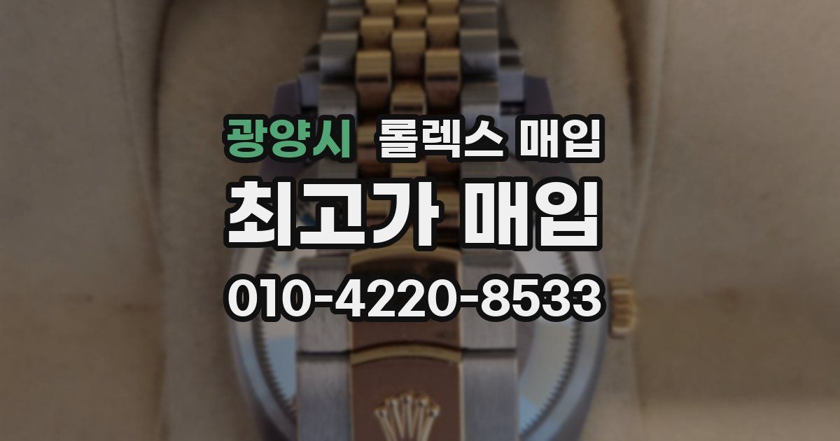 광양시 롤렉스 매입