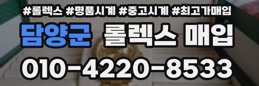 담양군 롤렉스 매입