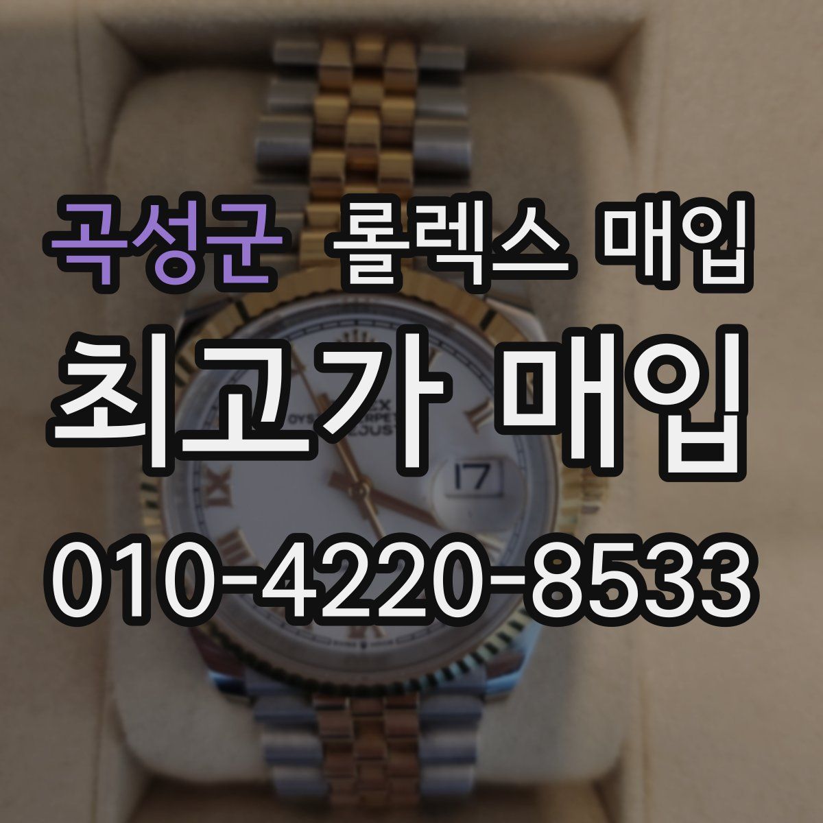 곡성군 롤렉스 매입