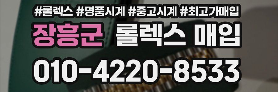 장흥군 롤렉스 매입