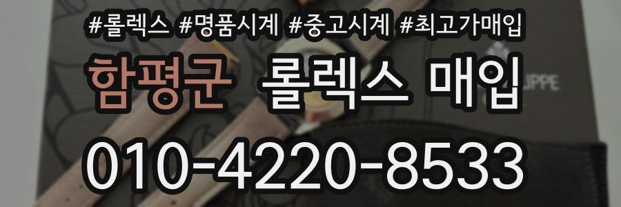 함평군 롤렉스 매입