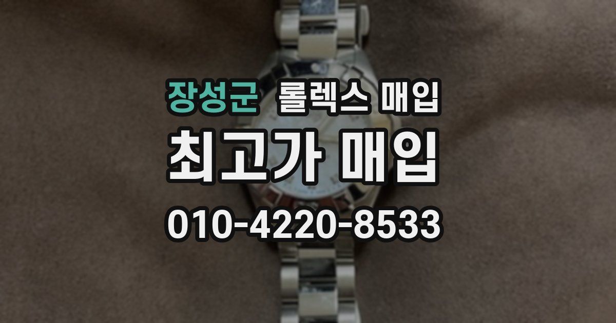 장성군 롤렉스 매입