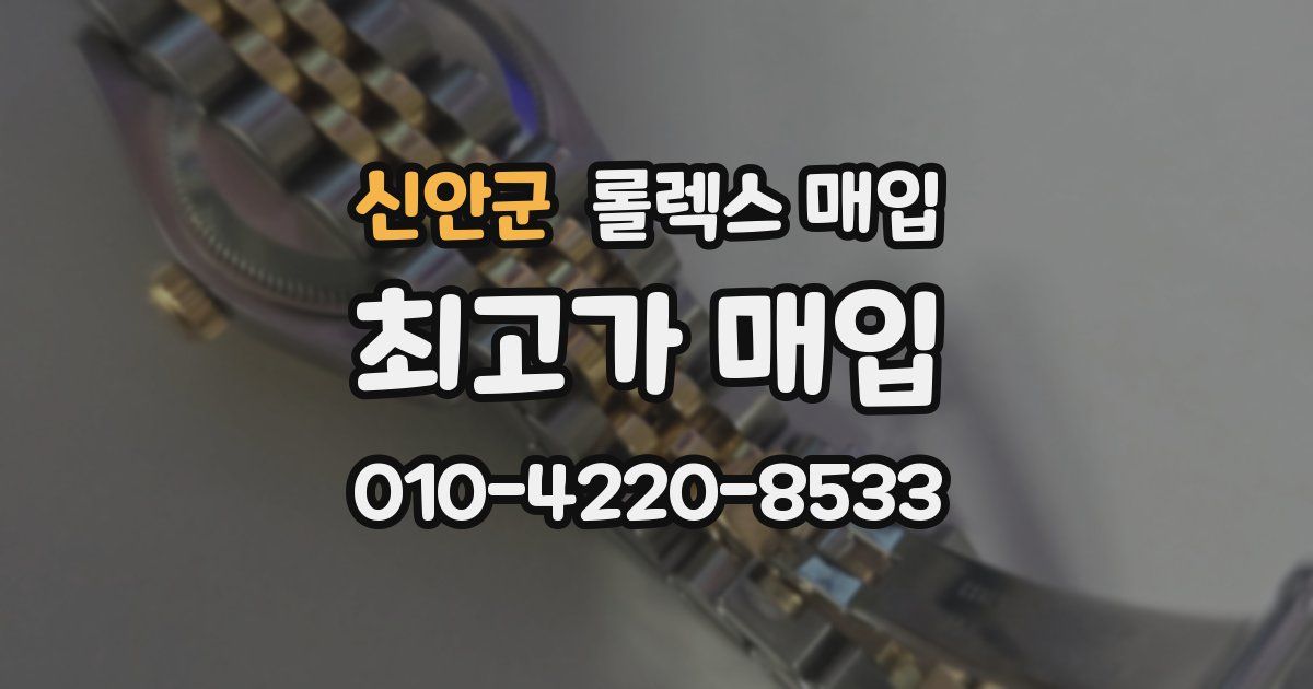 신안군 롤렉스 매입