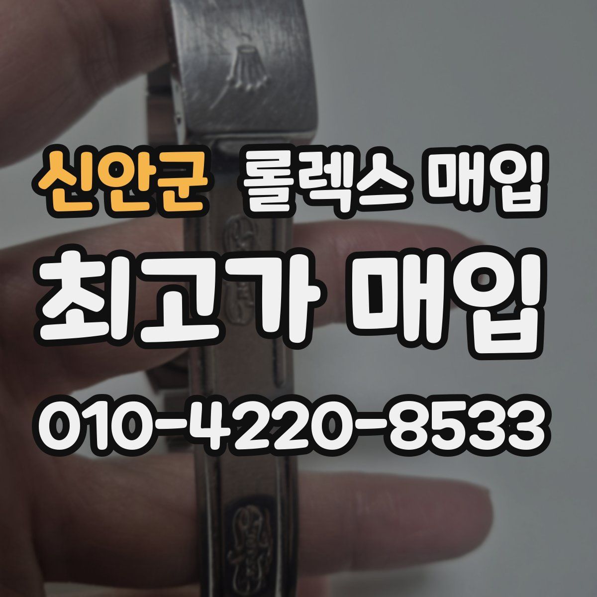 신안군 롤렉스 매입