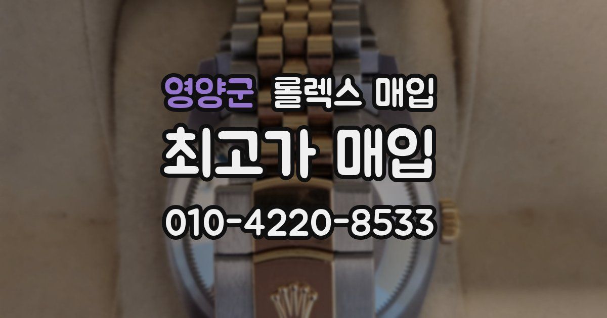 영양군 롤렉스 매입