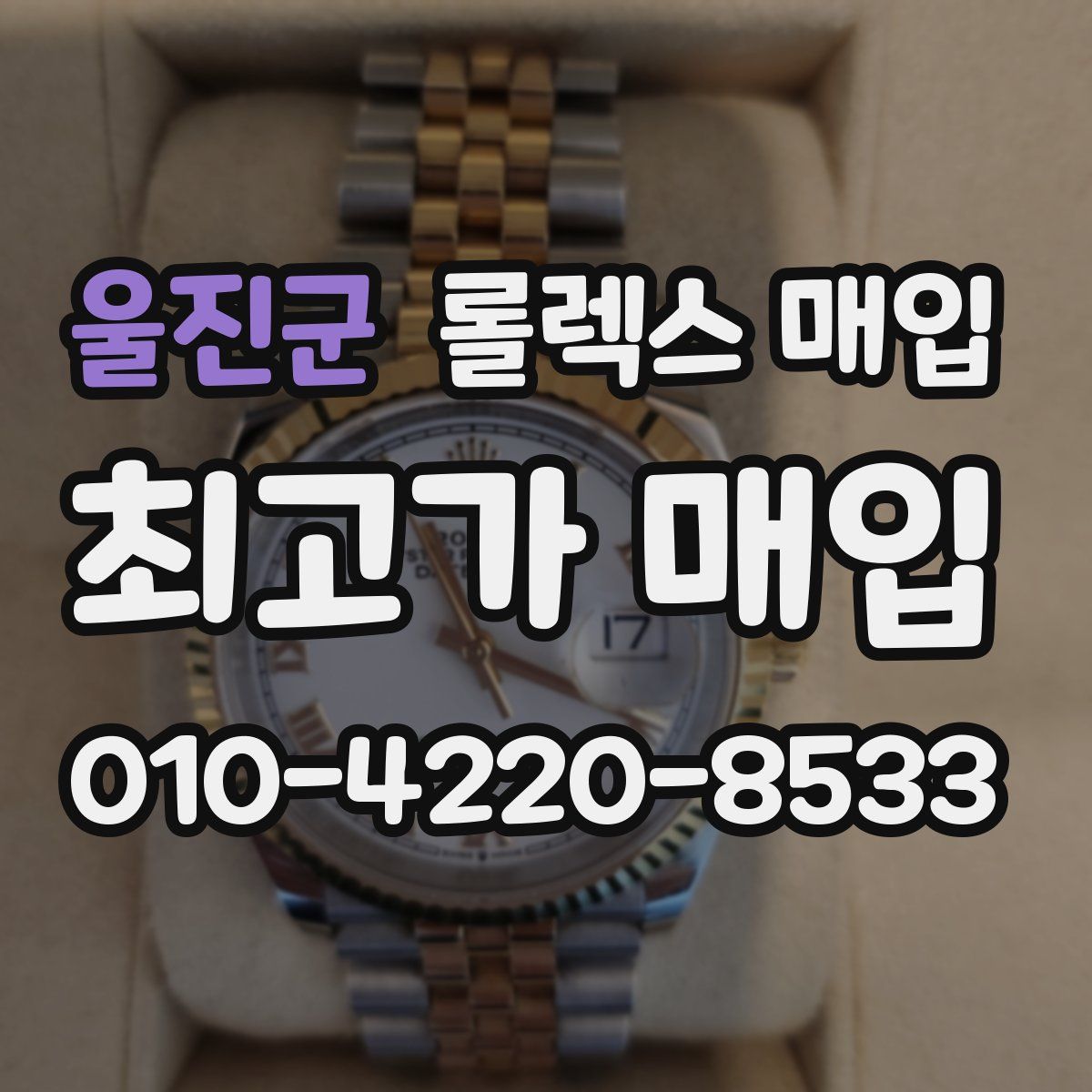 울진군 롤렉스 매입