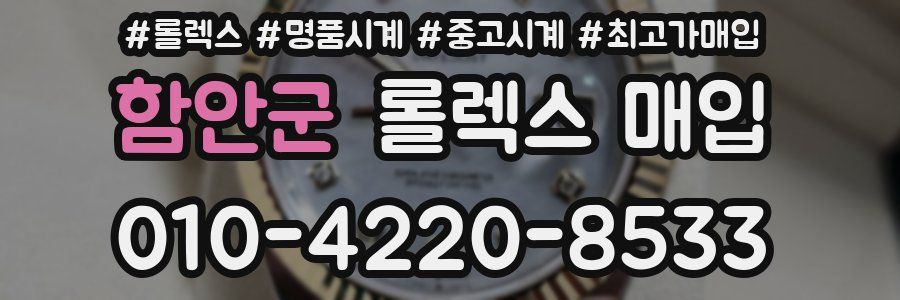 함안군 롤렉스 매입