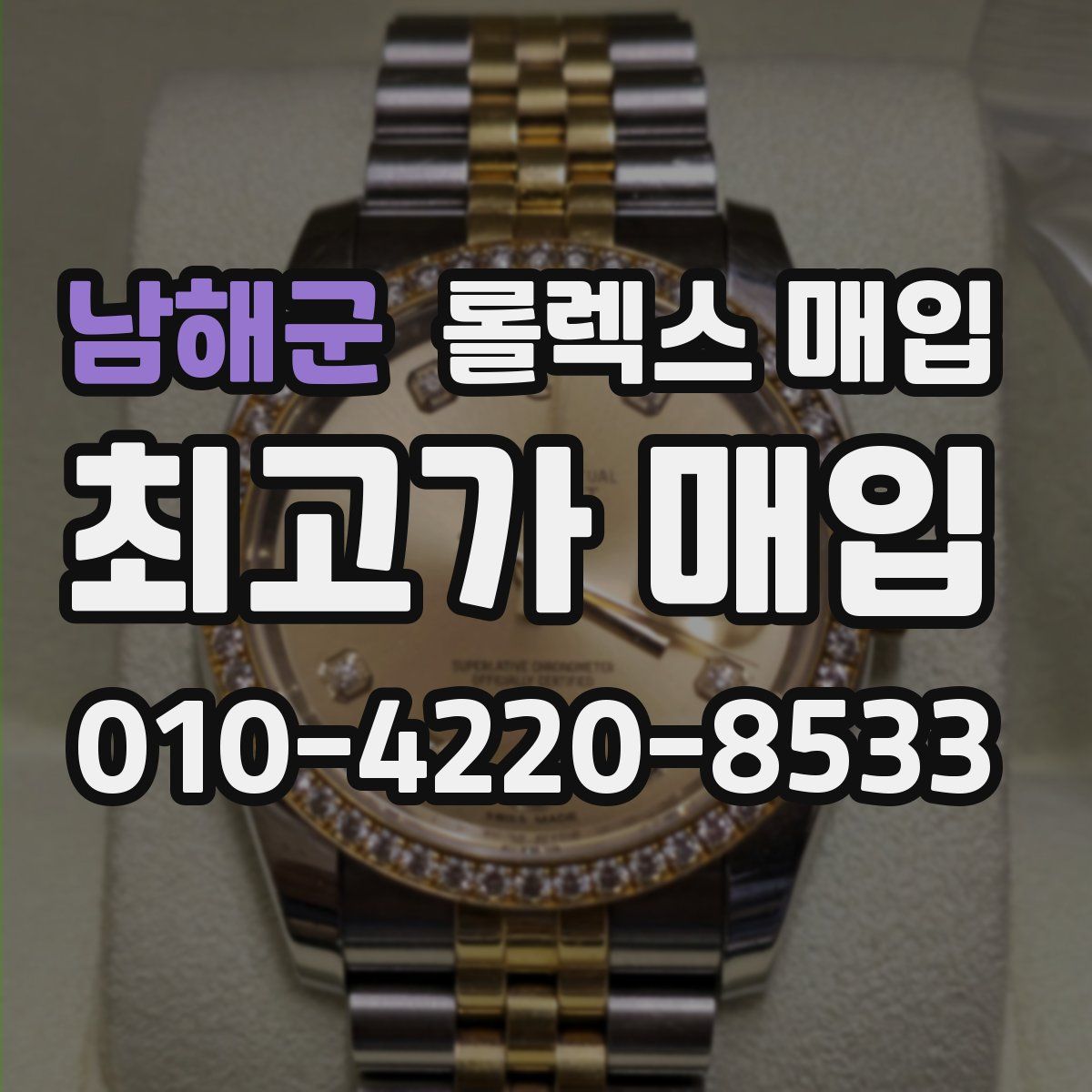 남해군 롤렉스 매입