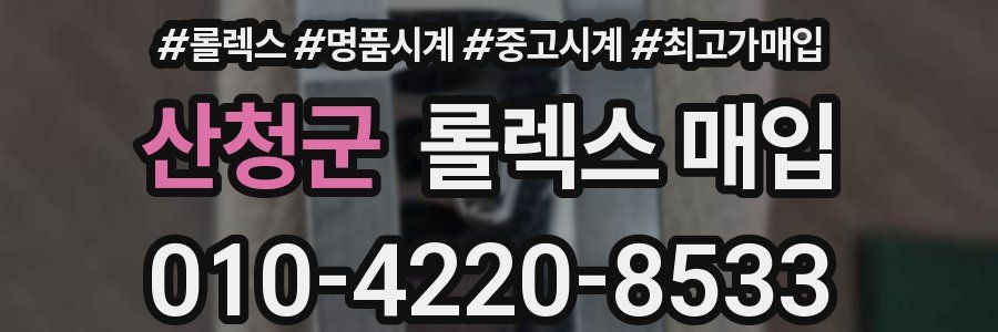 산청군 롤렉스 매입