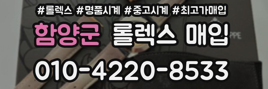 함양군 롤렉스 매입