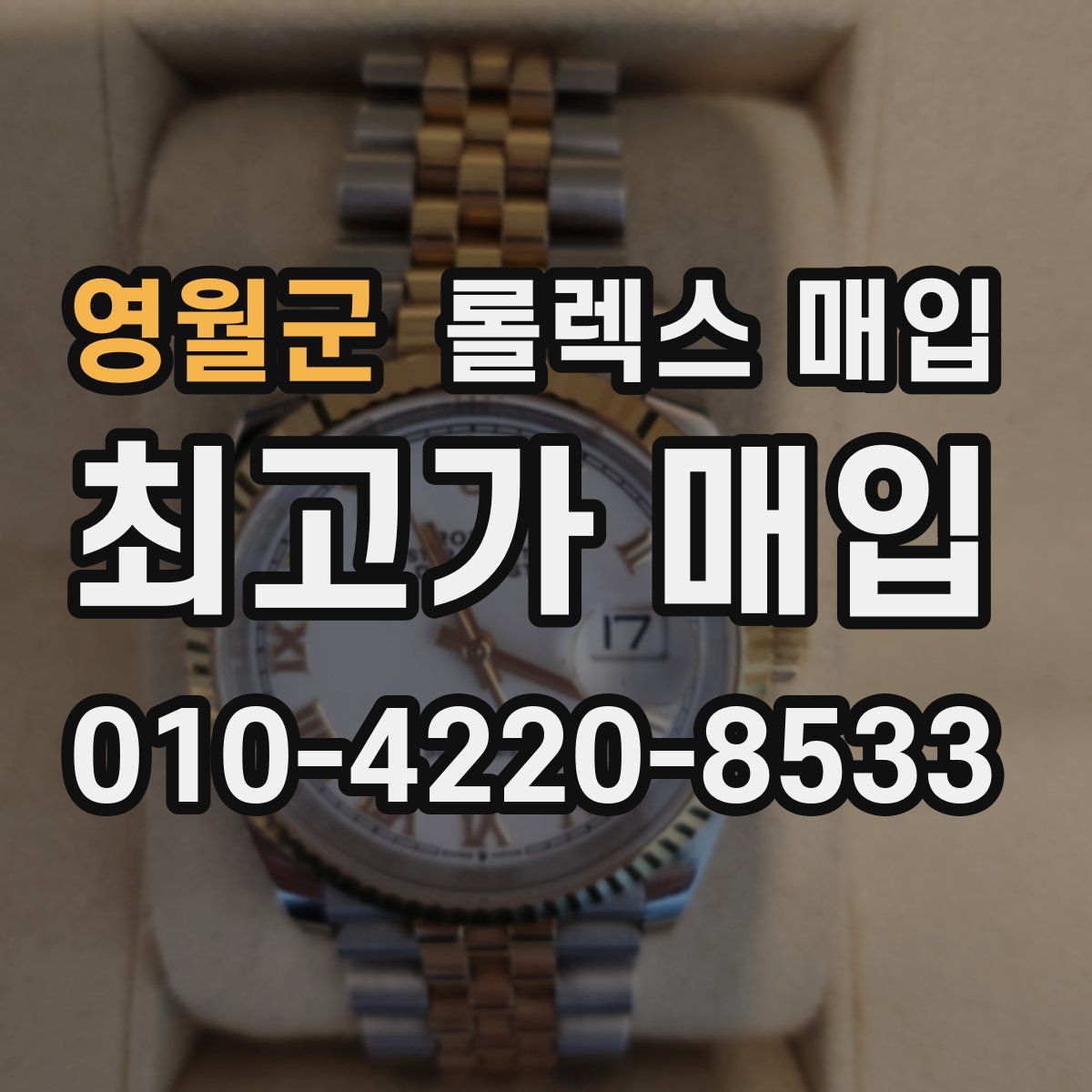 영월군 롤렉스 매입