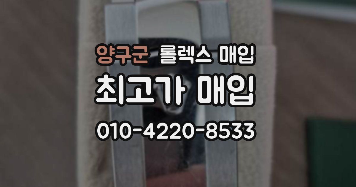 양구군 롤렉스 매입