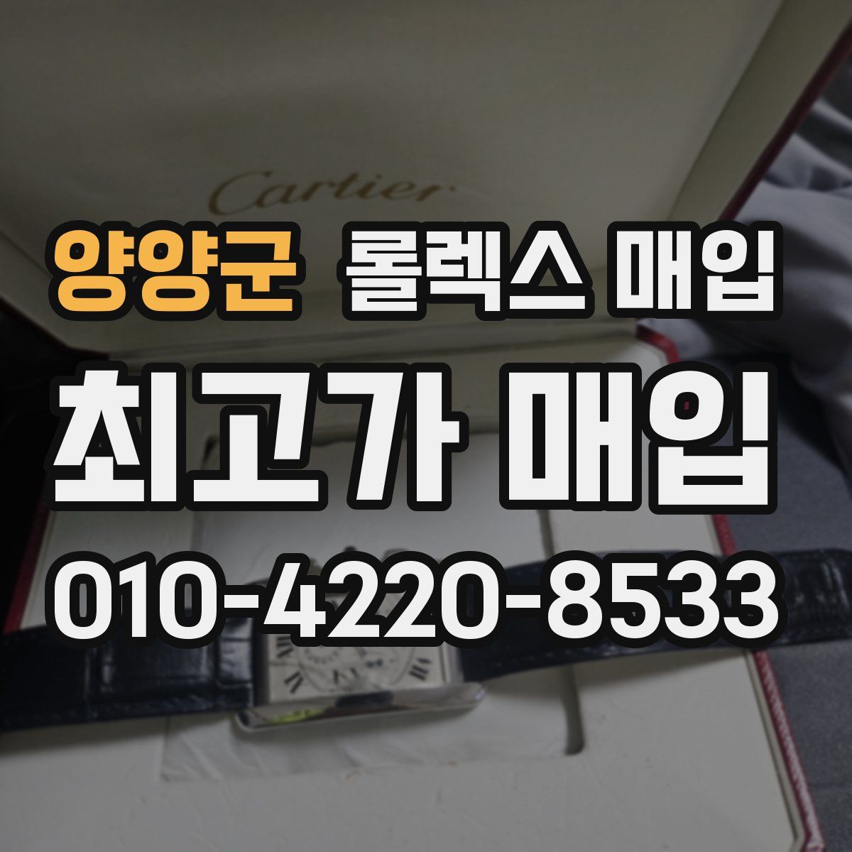 양양군 롤렉스 매입