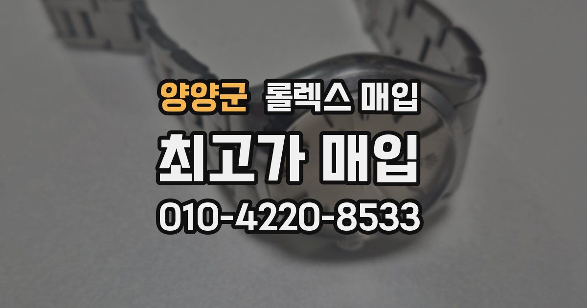 양양군 롤렉스 매입